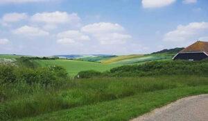 20180610_FieldOfGreen_op Riding on the green fields in the UK