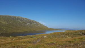 12_20160818_view