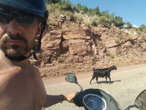 13_20160629_selfie_wgoat