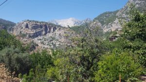 15_20160629_view
