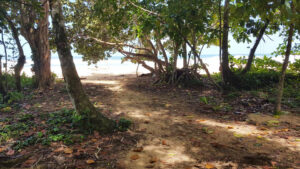 17_Jan3_WizardBeach_e