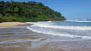 19_Jan3_WizardBeach_e