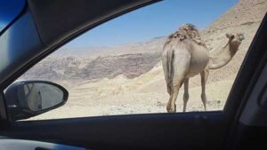 1_lostinJordan_op