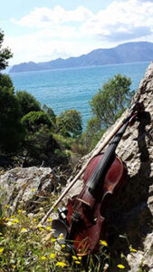 20140518_1_violin_allo_2_op