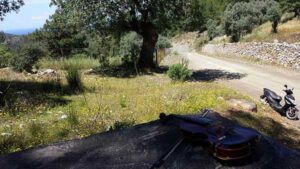 20140518_7_violin_fekvo_op