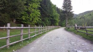 20140519_11_Transylvania_web_op