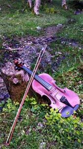 20140519_13_Transylvania_fiddle_web_op