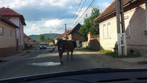 20140524_Bran_Segesvar_13_op