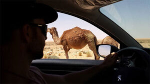 20140527_29_Sahara_1_Tunesiis_op