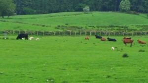 20170530_SJ_Conwy_toX_5_op