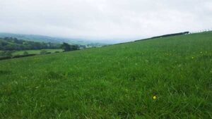 20170530_SJ_Conwy_toX_7_op