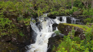20170617_SJ_6_LochLomond_op