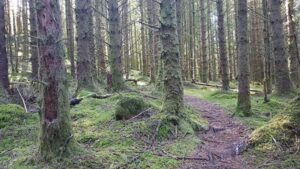 20170620_SJ_4_GlencoeHighlandScotland_2_op