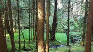20170620_SJ_7_GlencoeHighlandScotland_4_op