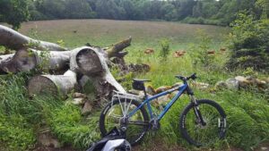 20170624_SJ_1_BikeTour_Scotland_op