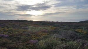 20170825_SJ_12_HikingTheCoastalTrail_atLandsEndCornwallUK_11_op
