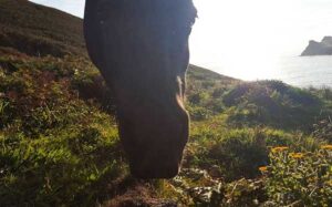 20170825_SJ_1_HikingTheCoastalTrail_atLandsEndCornwallUK_op