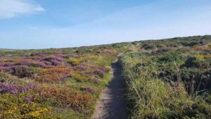 20170825_SJ_3_HikingTheCoastalTrail_atLandsEndCornwallUK_2_op