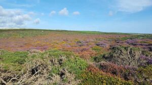 20170825_SJ_4_HikingTheCoastalTrail_atLandsEndCornwallUK_3_op