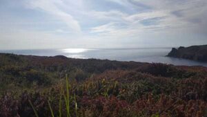 20170825_SJ_7_HikingTheCoastalTrail_atLandsEndCornwallUK_6_op