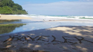 20_Jan3_WizardBeachTTRAVELER_e