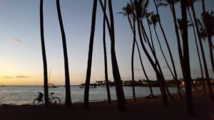22_Jan5_bikeride_web_e