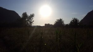 24_20160629_sunsetfele