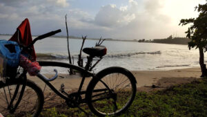 25_Jan9_bike_e