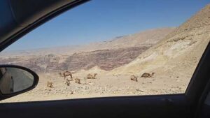 2_lostinJordan_op