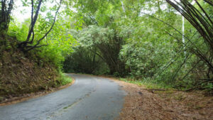 32_Jan11_road