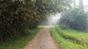 36_road_web_e