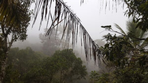 37_foggyview_web_e