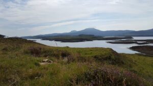38_20160818_view