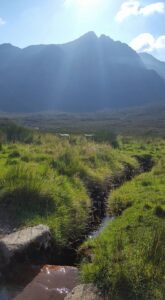 39_20160818_view