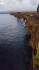 39_Jan10_ladder_web