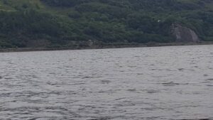 42_20160819_lake