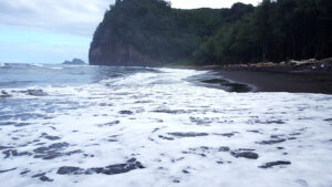46_Jan12_blacksandbeach_web_e