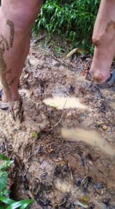 51_Jan13_mud_