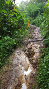 52_Jan13_mud_path_e
