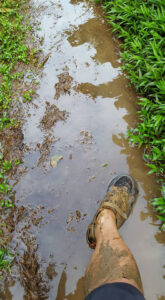 54_Jan13_floodedmud_path