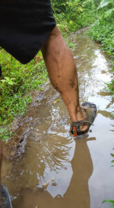 55_Jan13_floodedmud_path