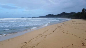 57_Jan13_reachintheOcean_e