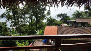 5_Jan2_treehouse_e