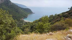 5_Kabak_op