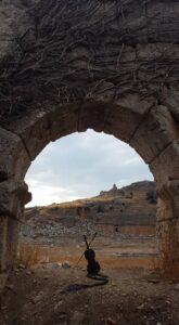 66_20160804_Tlos_violin_arch
