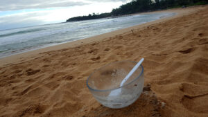 69_Jan16_breakfastonthebeach_web_e