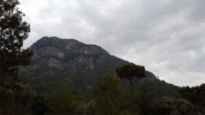 6_Kabak_op