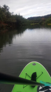 72_Jan16_KumuCamp_paddleboard_web_e