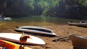 73_Jan16_Poipu_paddleboard_web_e
