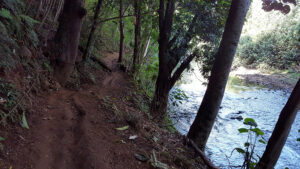 74_Jan16_lagoon_jungletrail_web_e